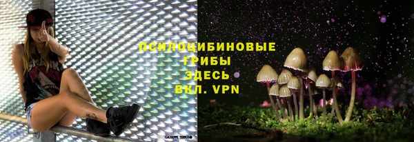 PSILOCYBIN Богородицк