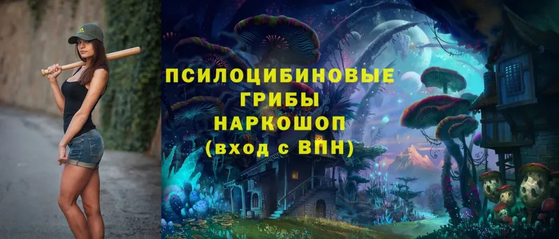 Псилоцибиновые грибы Magic Shrooms  Нытва 